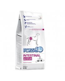 FORZA10 INTESTINAL ACTIVE