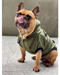 kurtka przeciwdeszczowa dla psa